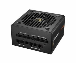 COUGAR PC zdroj GEX PRO 650W 80+ Gold, Fully, ATX3.1, PCI...