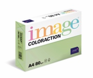 Antalis Papír Image Coloraction Forest - pastelově zelená...