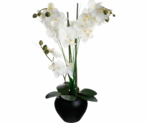 Atmosphera Orchidej v černém květináči 53 cm