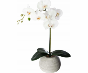 Atmosphera Květinová výzdoba "Cement touch" - orchidej s ...
