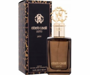 NoName ROBERTO CAVALLI Uomo Parfém sprej 100ml