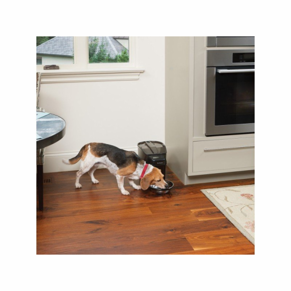 PetSafe Healthy Pet Simply Feed Digitální krmítko