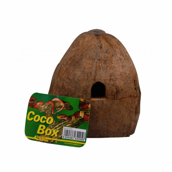 Lucky Reptile Coco Box