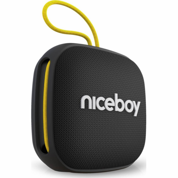 Niceboy RAZE Mini 4