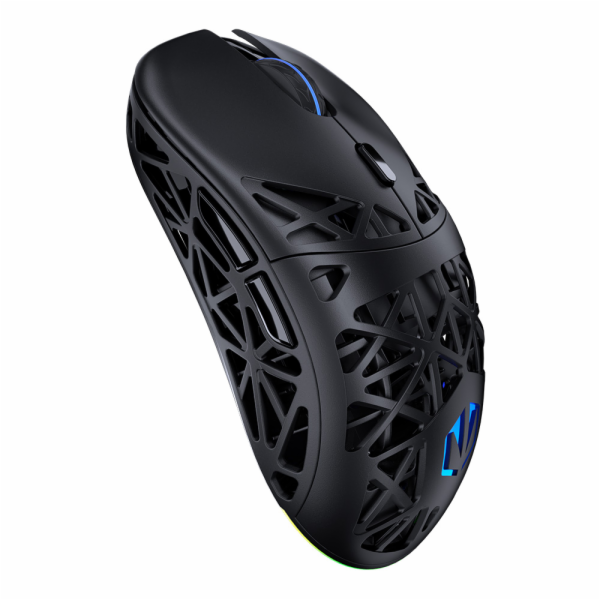ENDORFY LIV Wireless (schwarz)