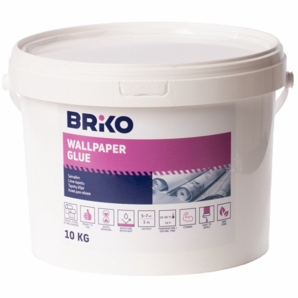 LEPICÍ PÁTKA BRIKO READY BOND 10KG