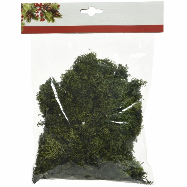 Dekorativní mech, 50g
