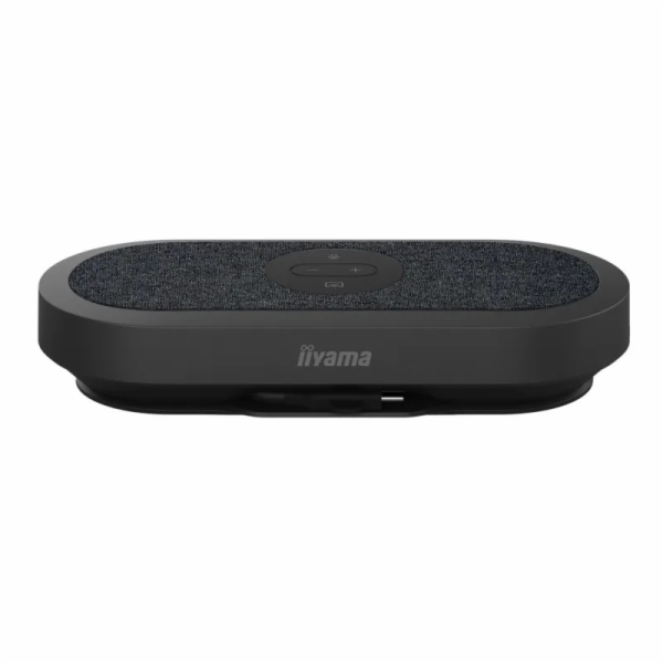 iiyama - mic and speaker