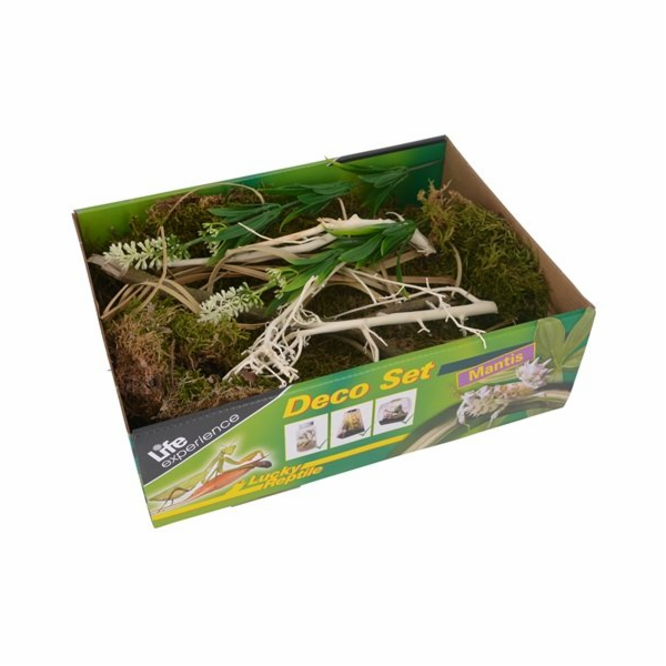 Lucky Reptile Deco Set Mantis