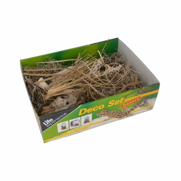 Lucky Reptile Deco Set Desert