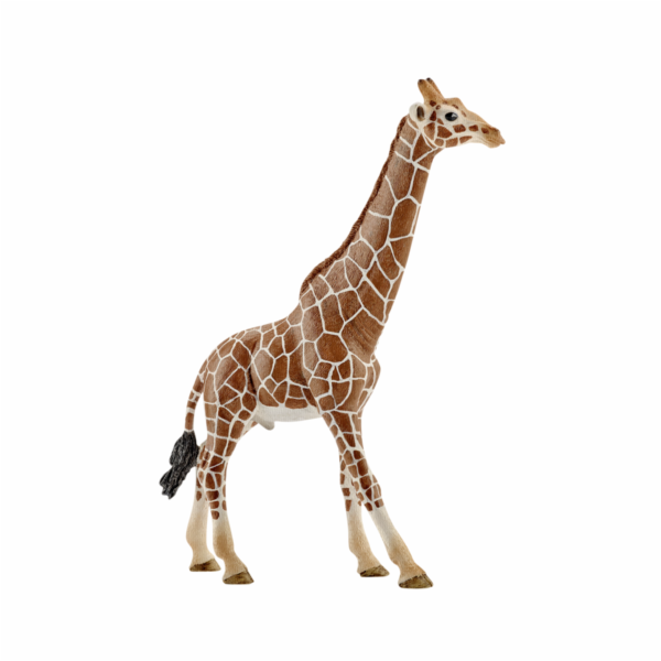 Schleich Wild Life Zirafa samec