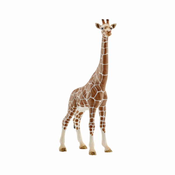 Schleich Wild Life Zirafa samice