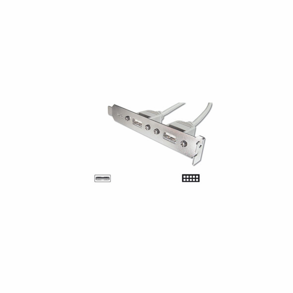 Digitus záslepka slotu s 2 USB porty + kabel 2x5pin 0,25m