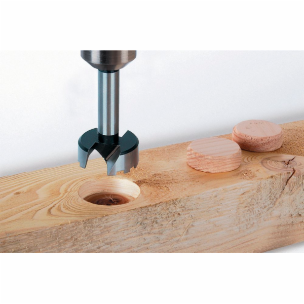 Wolfcraft Wolfcraft Sada 5 Forstner-vrtáků průměr 15,20,2...