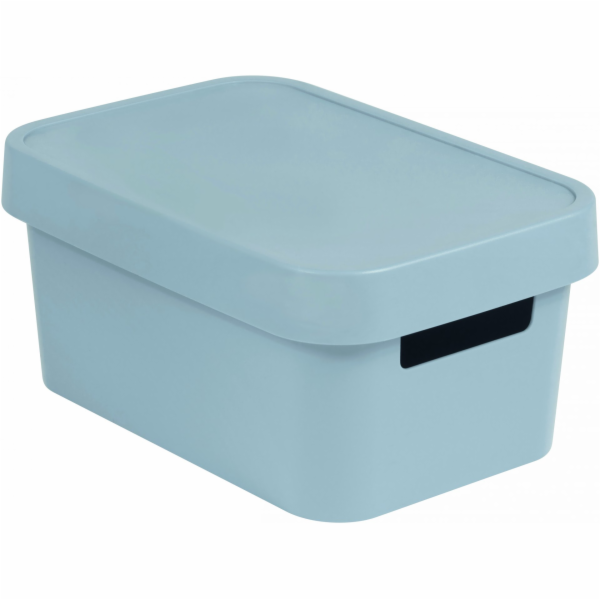 CURVER Infinity Úložný box s víkem Šedá 4,5l