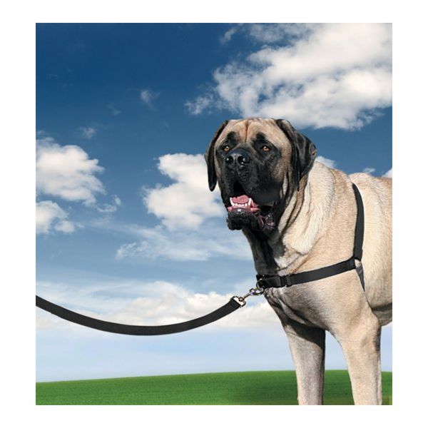 PetSafe® Postroj EasyWalk černý XL
