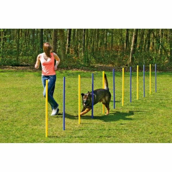 Karlie Agility slalom 12 x 100 cm