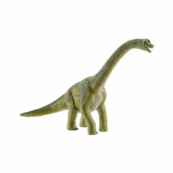 Schleich Dinosaurs         14581 Brachiosaurus