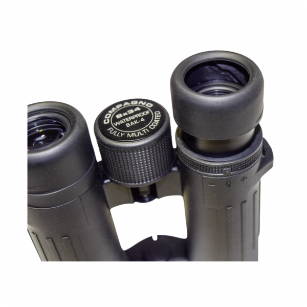 Braun Compagno           8x34 WP