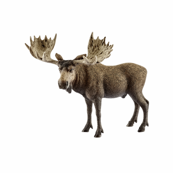 Schleich Wild Life         14781 Bull elk