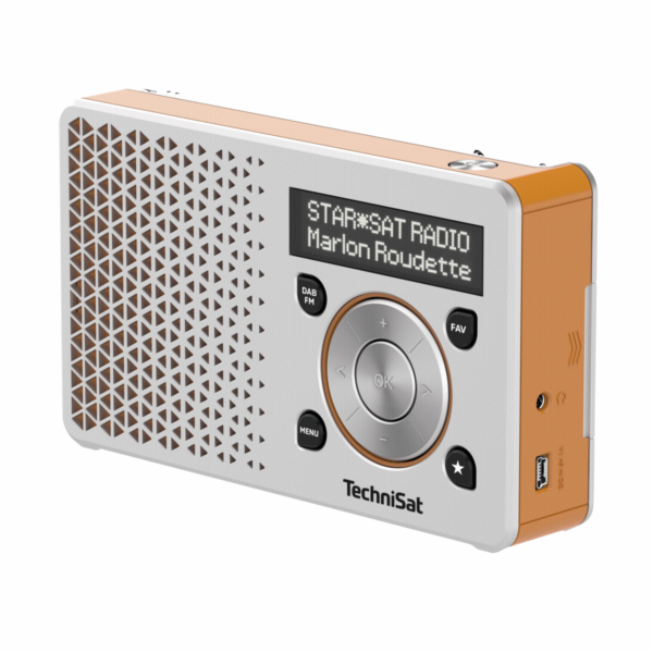 Technisat DigitRadio 1 stríbrné/oranzové