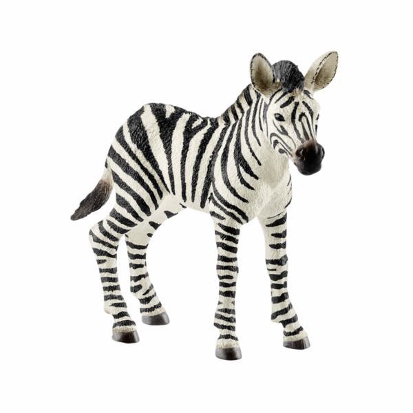Schleich Wild Life         14811 Zebra Foal