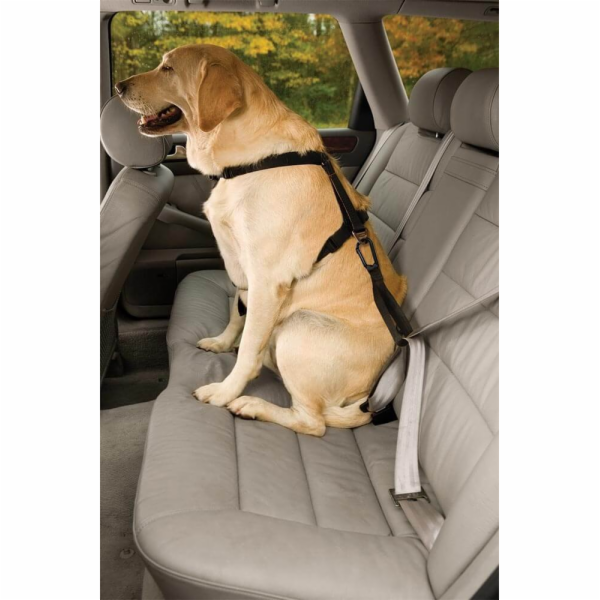 Kurgo® Bezpečnostní pás pro psa do auta Seatbelt Tether