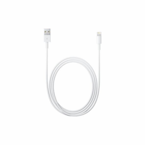 Apple Lightning to USB Cable (1m)
