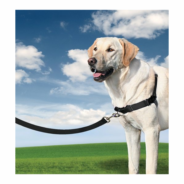PetSafe® Postroj EasyWalk černý M