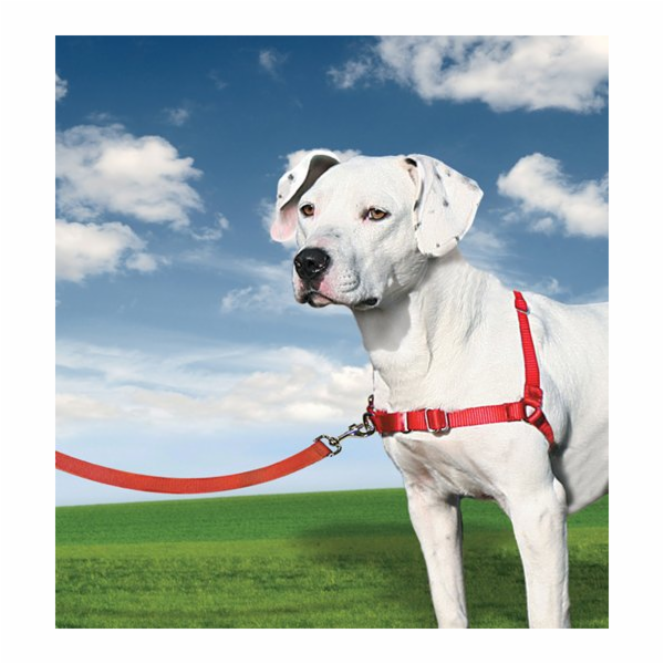 PetSafe® Postroj EasyWalk červený M