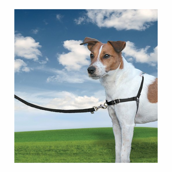 PetSafe® Postroj EasyWalk černý S