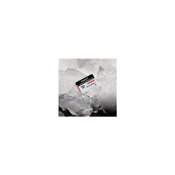Kingston MicroSDXC karta 128GB High Endurance, 95R Class ...
