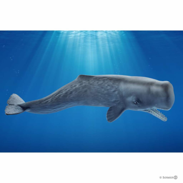 Schleich 14764 Vorvaň