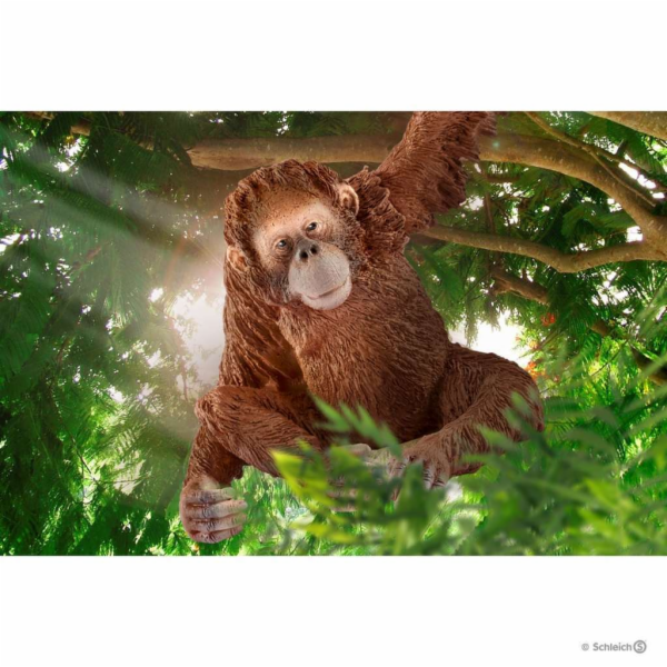 Schleich 14775 Orangutan
