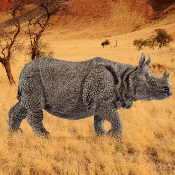 Schleich Wild Life         14816 Indian Rhinoceros