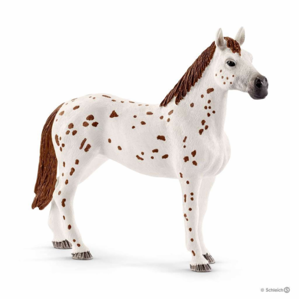 Schleich 42433 Set appalosští koně a tréninkové příslušenstí