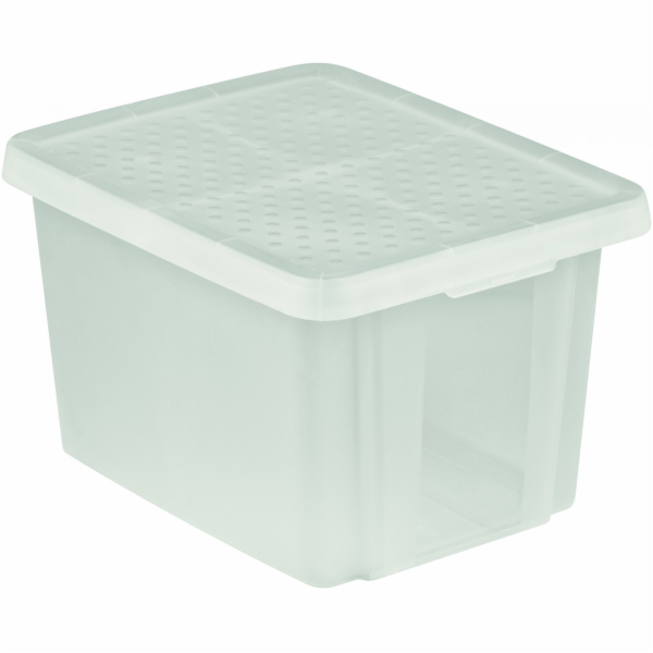 CURVER Essentials Úložný box s víkem Průsvitná 26l