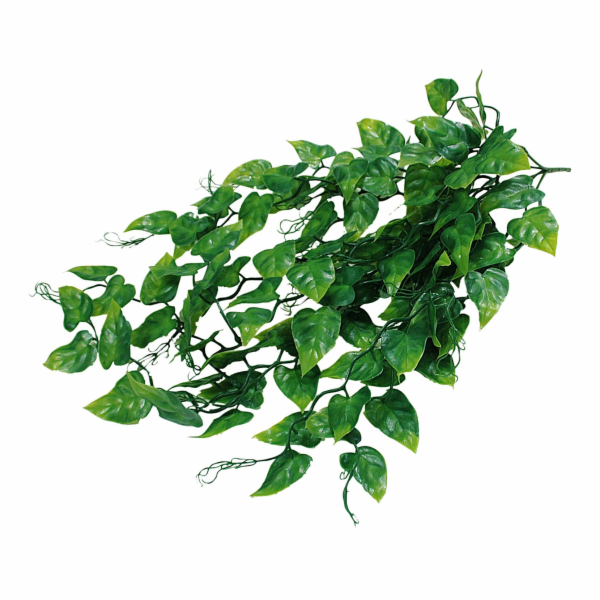 Lucky Reptile Jungle Plants Philo cca 50 cm