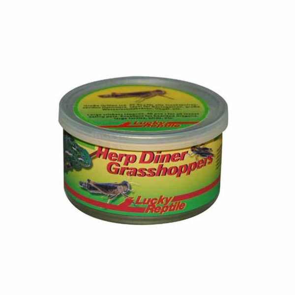 Lucky Reptile Herp Diner - sarančata 35g cca 50 středních