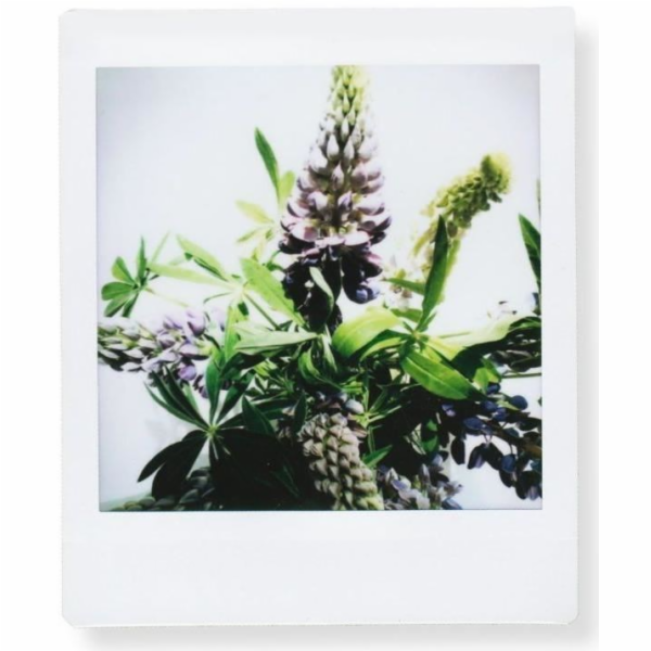 1 Fujifilm Instax Square Film white frame