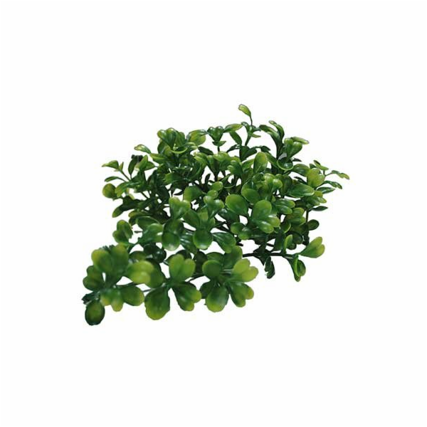 Lucky Reptile Turtle Plants Horn Fern cca 40 cm