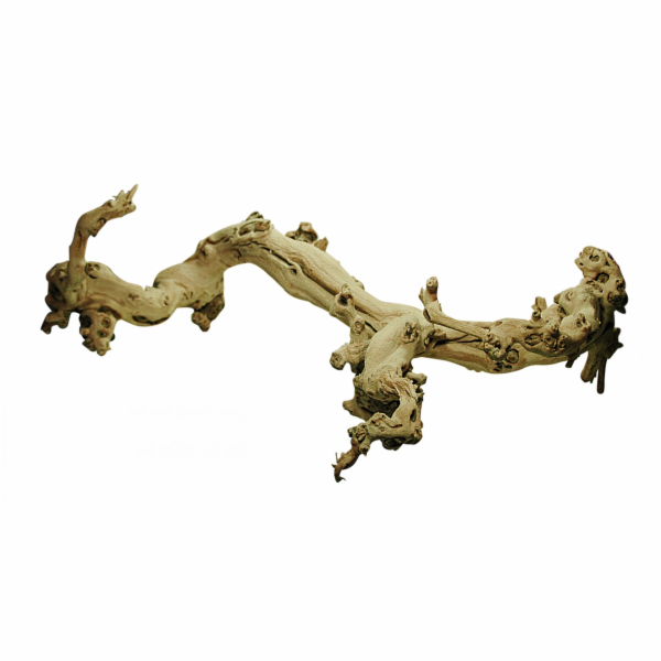 Lucky Reptile Grapevine S 30-45 cm