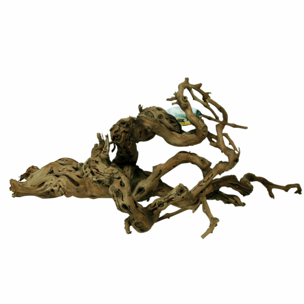 Lucky Reptile Grapevine Premium 80-100 cm