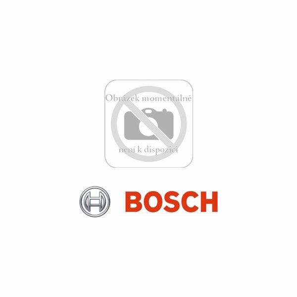Bosch BBZ41FGALL PowerProtect sáček na prach a nečistoty