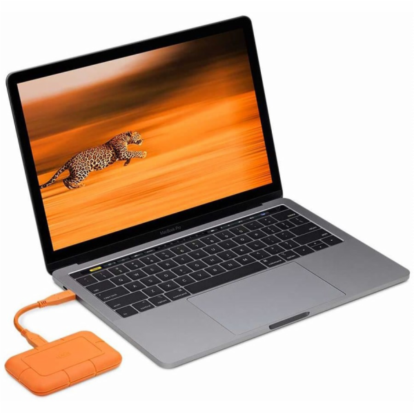 LaCie Rugged USB-C SSD       1TB