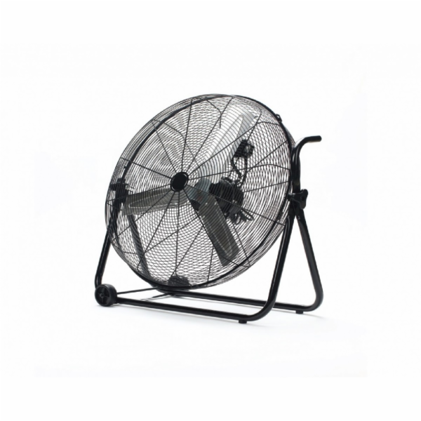 Ravanson Fan WT-60C