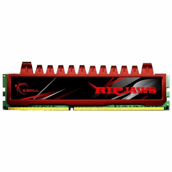 G.Skill DIMM 4GB DDR3-1066, RAM