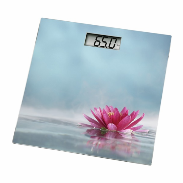 Xavax Rosa, Digitální Osobní Váha