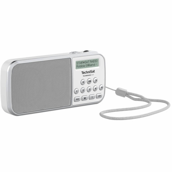 Technisat TechniRadio RDR bila