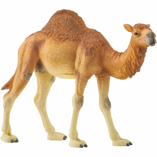 Schleich 14832 Wild Life Dromedary